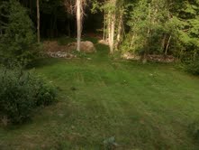 IMG00052-20100704-1821